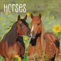 : Horses 2025, KAL