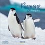 : Pinguine 2025, KAL