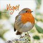 : Vögel 2026, KAL