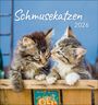 : Schmusekatzen 2026, KAL