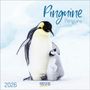 : Pinguine 2026, KAL