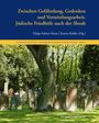 : Jüdische Friedhöfe nach der Shoah, Buch