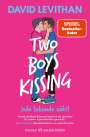 David Levithan: Two Boys Kissing - Jede Sekunde zählt, Buch