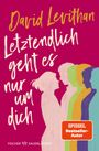 David Levithan: Letztendlich geht es nur um dich, Buch