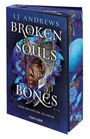 Lj Andrews: Broken Souls and Bones - Feind. Beschützer. Geliebter., Buch