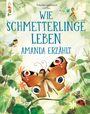 ¿T¿Pánka Sekaninová: Wie Schmetterlinge leben. Amanda erzählt., Buch