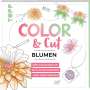 Mila Dierksen: Color & Cut - Blumen, Buch