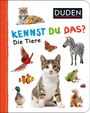 : Duden 12+: Kennst du das? Die Tiere, Buch