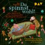 Kai Pannen: Du spinnst wohl! Eine außergewöhnliche Adventsgeschichte in 24 Kapiteln, CD,CD