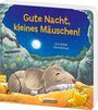 Lena Walde: Gute Nacht, kleines Mäuschen!, Buch