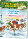 Mary Pope Osborne: Das magische Baumhaus junior (Band 40) - Lawinenhunde im Einsatz, Buch