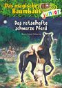 Mary Pope Osborne: Das magische Baumhaus junior (Band 42) - Das rätselhafte schwarze Pferd, Buch