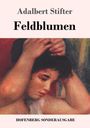 Adalbert Stifter: Feldblumen, Buch