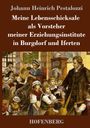 Johann Heinrich Pestalozzi: Meine Lebensschicksale als Vorsteher meiner Erziehungsinstitute in Burgdorf und Iferten, Buch