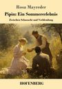 Rosa Mayreder: Pipin: Ein Sommererlebnis, Buch