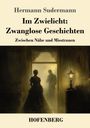 Hermann Sudermann: Im Zwielicht: Zwanglose Geschichten, Buch