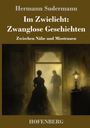 Hermann Sudermann: Im Zwielicht: Zwanglose Geschichten, Buch