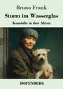 Bruno Frank: Sturm im Wasserglas, Buch