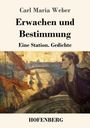 "Erwachen und Bestimmung. Eine Station. Gedichte" von Carl Maria Weber, Verlag HOFENBERG. Darstellung eines Mannes am Fluss.