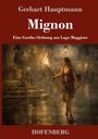 "Mignon. Eine Goethe-Sichtung am Lago Maggiore" von Gerhart Hauptmann. Illustration: Frau mit Fackel in nächtlicher Szene.