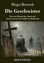 Titel: "Die Geschwister" von Hugo Bertsch. Szene: Zwei Menschen auf einem düsteren Friedhof bei Nacht, mit Kreuzen und Grabsteinen.