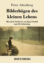 Buchtitel: „Bilderbögen des kleinen Lebens“ von Peter Altenberg. Illustration: Frau auf einer Parkbank im Sonnenlicht.