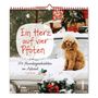 Ein Herz auf vier Pfoten. 24 Hundegeschichten im Advent. Pudel sitzt auf einem verschneiten Auto, umgeben von Geschenken.