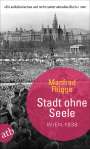 Manfred Flügge: Stadt ohne Seele, Buch