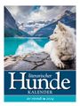Vivendi Ars: Literarischer Hunde - Kalender 2024, KAL