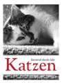 Vivendi Ars: Katzen - literarisch durchs Jahr 2024, KAL