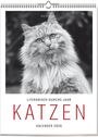 Vivendi Ars: Katzen - Literarisch durchs Jahr 2026, KAL