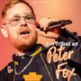Kim Anders: Ein Tribut an Peter Fox, Buch
