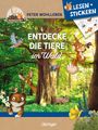 Peter Wohlleben: Lesen + Stickern. Entdecke die Tiere im Wald, Buch
