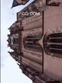 : Gerald Domenig. GD DOM, Buch