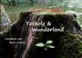 Bodo Witzke: Totholz & Wunderland, Buch