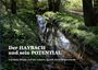 Bodo Witzke: Der HAYBACH und sein POTENTIAL, Buch