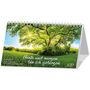 „Heute und morgen bin ich geborgen“ 2027. Postkartenkalender mit großem, sonnenbeschienenem Baum auf einer Wiese.