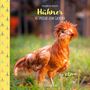 : Geschenkbuch Hühner, Buch