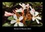 Tobias Becker: Blumen & Pflanzen 2023 Fotokalender DIN A3, KAL