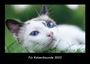 Tobias Becker: Für Katzenfreunde 2023 Fotokalender DIN A3, KAL