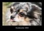 Tobias Becker: Hundezauber 2023 Fotokalender DIN A3, KAL