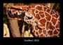 Tobias Becker: Giraffen 2023 Fotokalender DIN A3, KAL