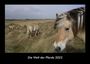 Tobias Becker: Die Welt der Pferde 2023 Fotokalender DIN A3, KAL