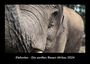 Tobias Becker: Elefanten - Die sanften Riesen Afrikas 2024 Fotokalender DIN A3, KAL