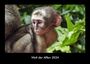 Tobias Becker: Welt der Affen 2024 Fotokalender DIN A3, KAL