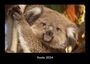 Tobias Becker: Koala 2024 Fotokalender DIN A3, KAL
