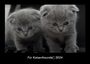 Tobias Becker: Für Katzenfreunde 2024 Fotokalender DIN A3, KAL