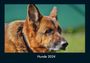 Tobias Becker: Hunde 2024 Fotokalender DIN A4, KAL