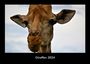 Tobias Becker: Giraffen 2024 Fotokalender DIN A3, KAL