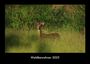 Tobias Becker: Waldbewohner 2025 Fotokalender DIN A3, KAL